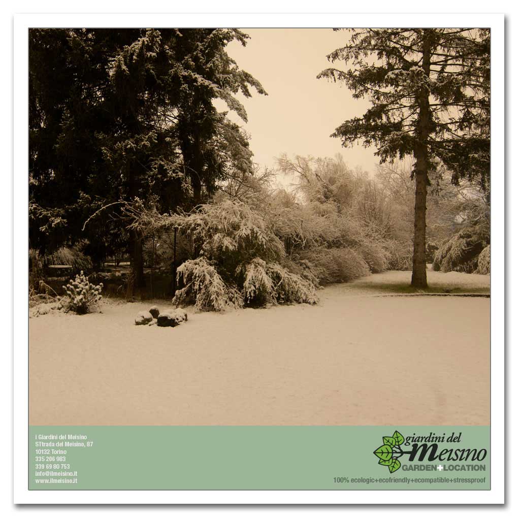 giardini meisino location torino 153